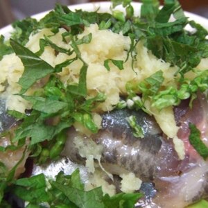 薬味を利かせて サンマの刺身 レシピ 作り方 By 寝虎太郎 楽天レシピ 薬味を利かせて サンマの刺身 レシピ 作り方 By 寝虎太郎 楽天レシピ